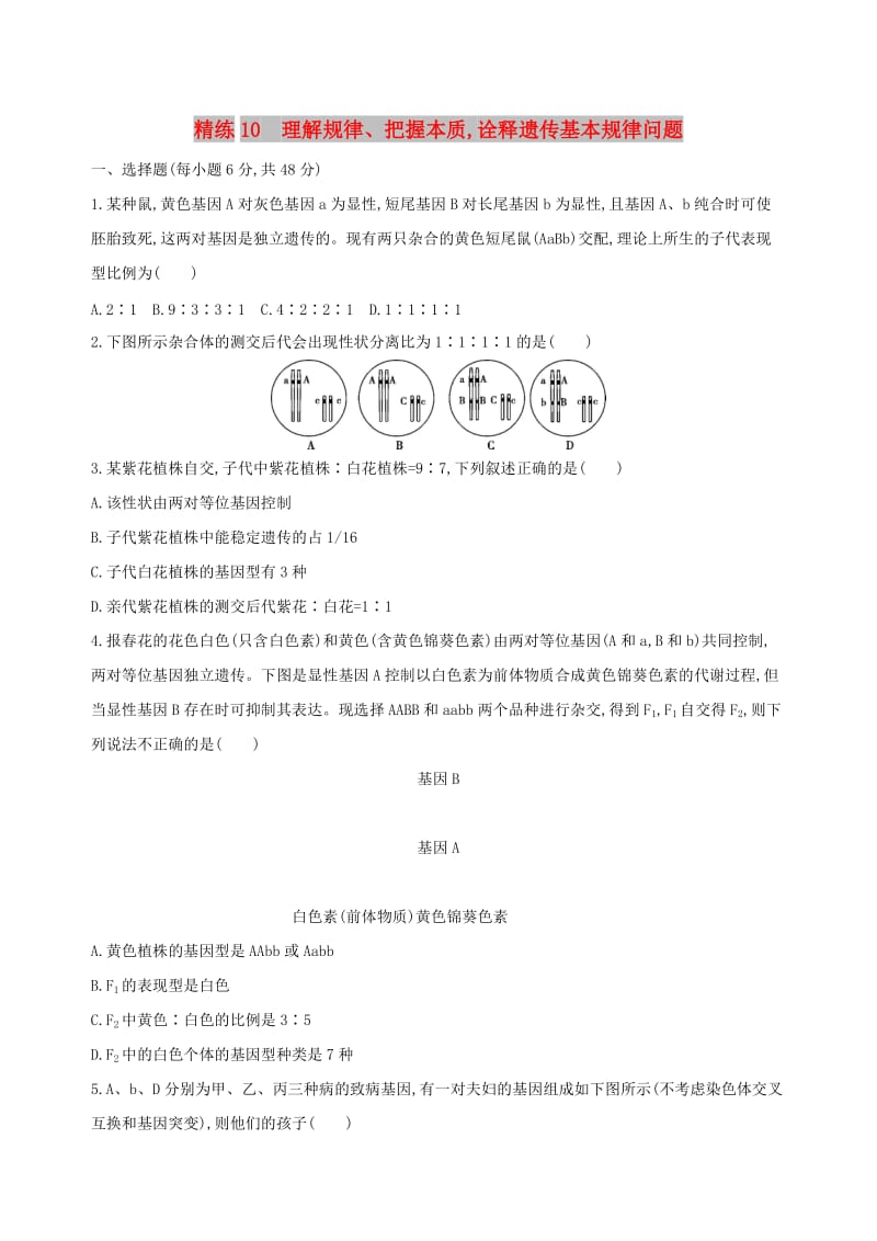 （北京专用）2019版高考生物一轮复习 精练10 理解规律、把握本质诠释遗传基本规律问题.doc_第1页