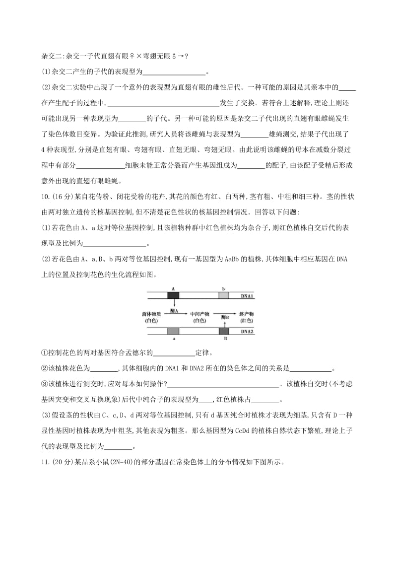 （北京专用）2019版高考生物一轮复习 精练10 理解规律、把握本质诠释遗传基本规律问题.doc_第3页