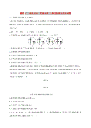 （北京專用）2019版高考生物一輪復(fù)習(xí) 精練10 理解規(guī)律、把握本質(zhì)詮釋遺傳基本規(guī)律問(wèn)題.doc