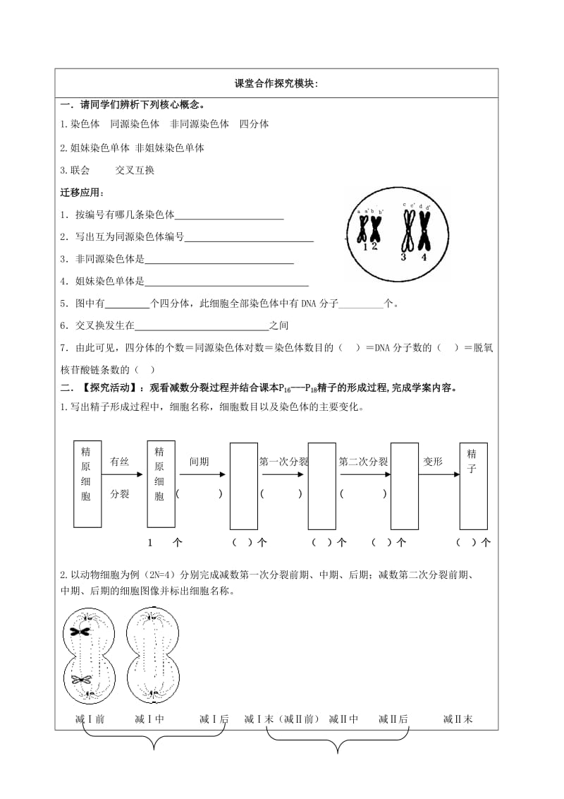 高中生物 第二章 基因和染色体的关系 第1节 减数分裂和受精作用学案新人教版必修2.doc_第2页