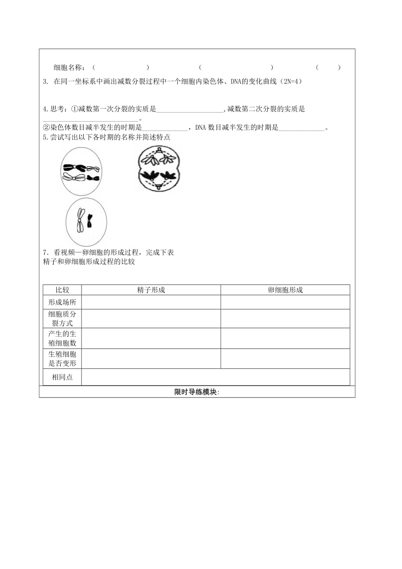 高中生物 第二章 基因和染色体的关系 第1节 减数分裂和受精作用学案新人教版必修2.doc_第3页