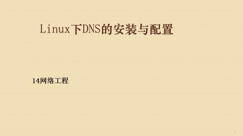Linux下DNS的安装与配置ppt课件_第1页