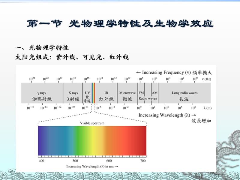 皮肤光生物学ppt课件_第2页