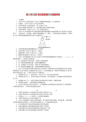 2019版高考生物一輪總復(fù)習 第5章 細胞的能量供應(yīng)和利用 第3節(jié) ATP的主要來源——細胞呼吸課時練 必修1.doc