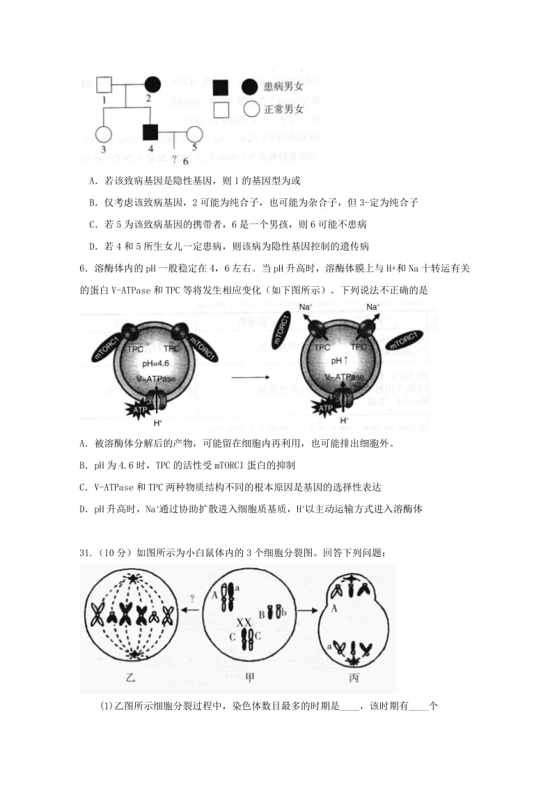 四川省攀枝花市2019届高三生物上学期第一次统一考试试题.doc_第2页