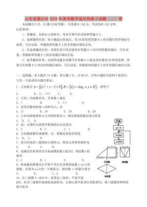 山东省烟台市2018年高考数学适应性练习试题（二）理.doc