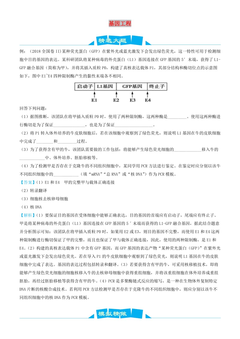 2019高考生物三轮冲刺 大题提分 大题精做13 基因工程（含解析）.docx_第1页