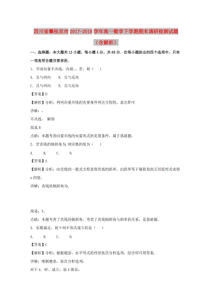 四川省攀枝花市2017-2018學(xué)年高一數(shù)學(xué)下學(xué)期期末調(diào)研檢測(cè)試題（含解析）.doc