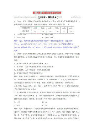 2019屆高考生物總復(fù)習(xí) 第六單元 遺傳的基本規(guī)律和伴性遺傳 第19講 基因的自由組合定律提考能強(qiáng)化通關(guān) 新人教版.doc