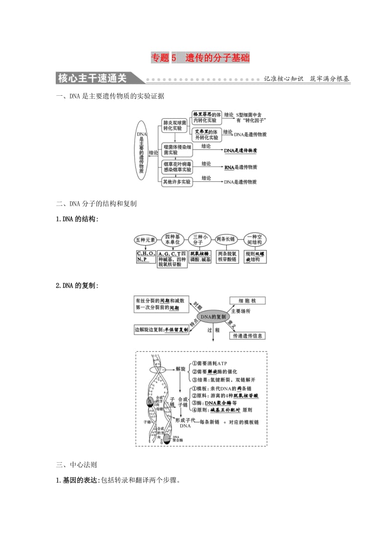 2019版高考生物二轮复习 专题五 遗传的分子基础自查学案.doc_第1页