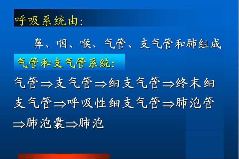 呼吸系统疾病ppt课件_第2页