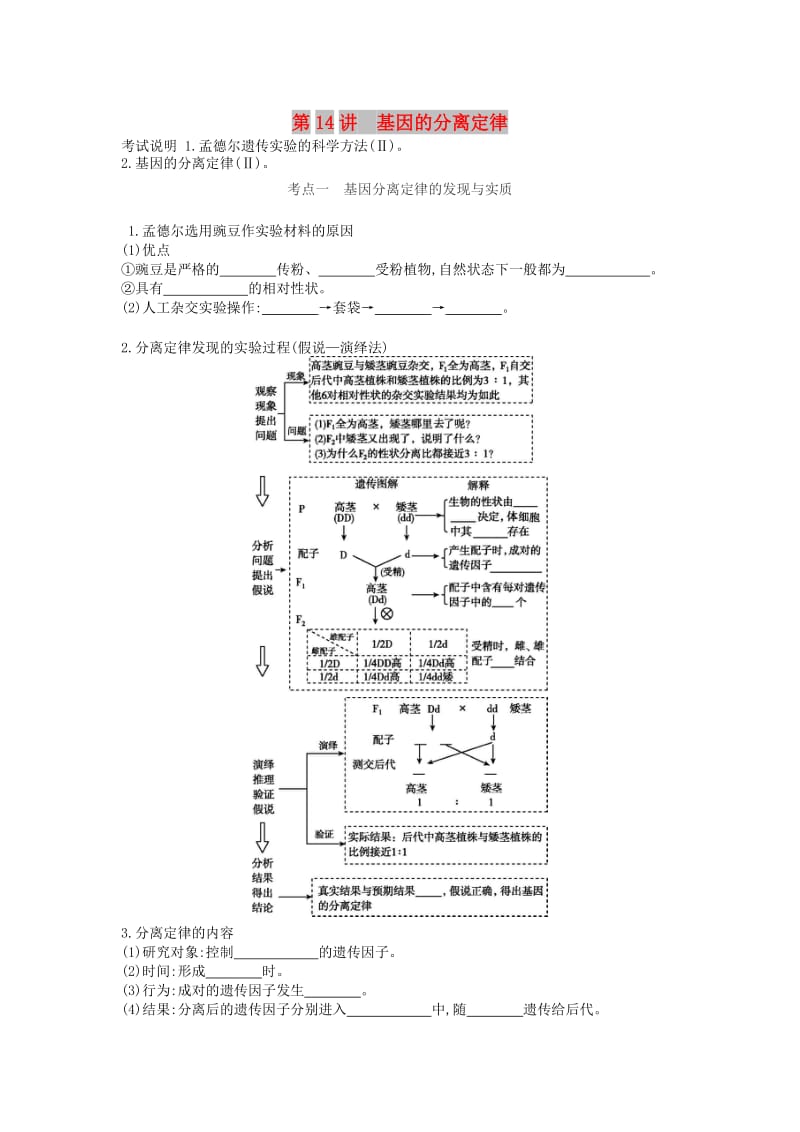 2019版高考生物一轮复习 第5单元 遗传的基本规律和遗传的细胞基础 第14讲 基因的分离定律学案 苏教版.doc_第1页