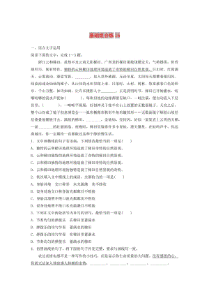 （全國通用）2020版高考語文一輪復習 加練半小時 基礎突破 第二輪基礎組合練16.docx