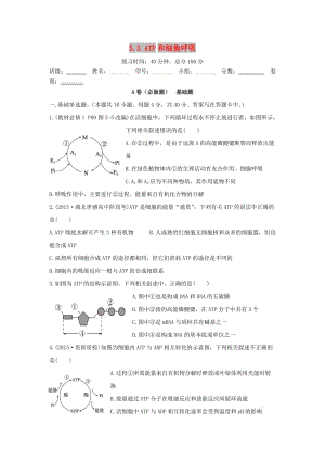 四川省成都市高中生物 第五章 細(xì)胞的能量供應(yīng)和利用 5.3 ATP和細(xì)胞呼吸限時(shí)練1新人教版必修1.doc