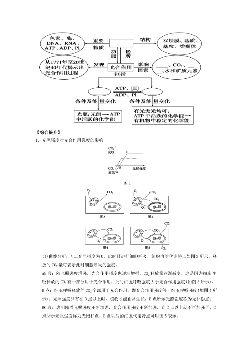 广东省惠州市2019年高考生物总复习 5-4 光合作用（2）学案.doc_第2页