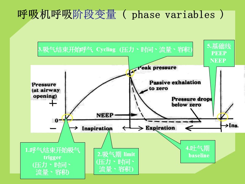 常见呼吸机模式及参数调节ppt课件_第3页