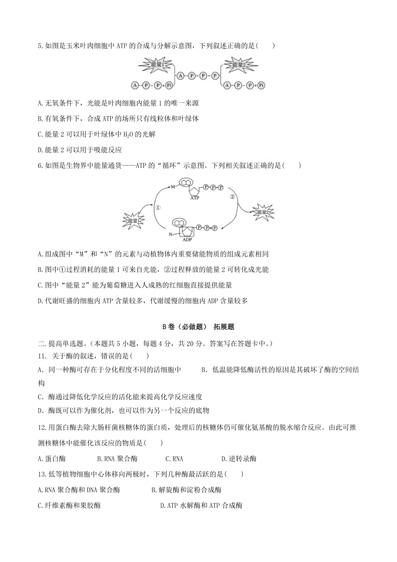 四川省成都市高中生物 第五章 细胞的能量供应和利用 5.3 ATP和细胞呼吸限时练2新人教版必修1.doc_第2页