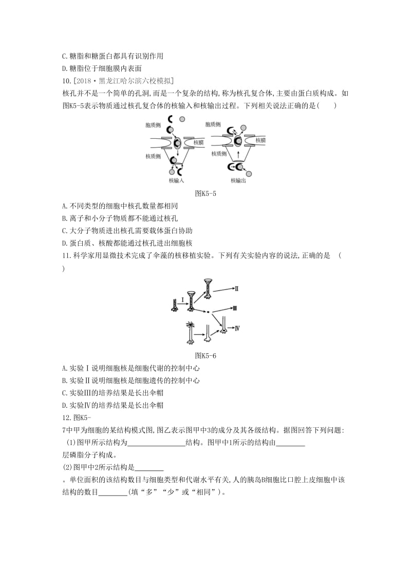 全国通用2020届高考生物优选大一轮复习第2单元细胞的结构与物质的运输第5-7讲课时作业含解析.doc_第3页