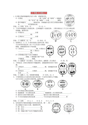 廣東省中山市高中生物 第2章 基因和染色體的關系 2.1 細胞分裂部分圖解練習新人教版必修2.doc