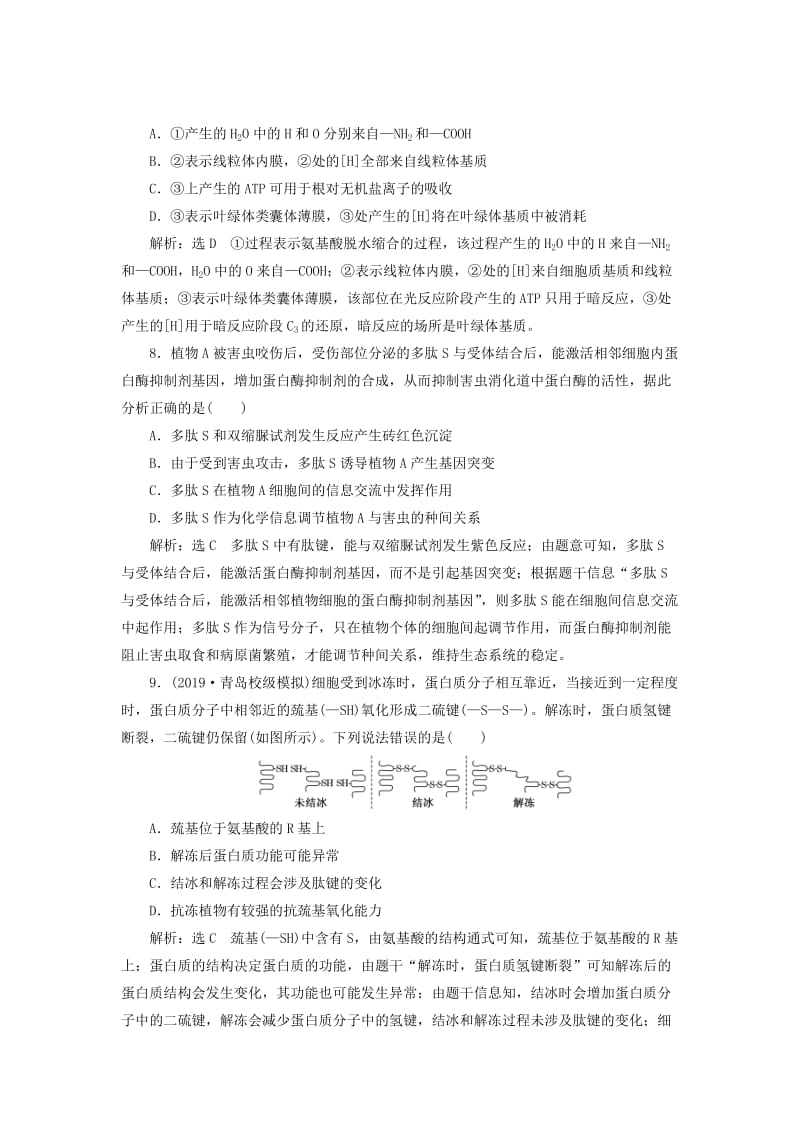 （通用版）2020版高考生物一轮复习 课下达标检测（三）生命活动的主要承担者——蛋白质（含解析）.doc_第3页