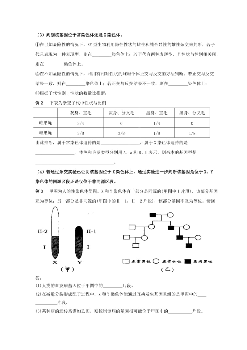 广东省惠州市2019年高考生物总复习 2-3 伴性遗传学案.doc_第3页