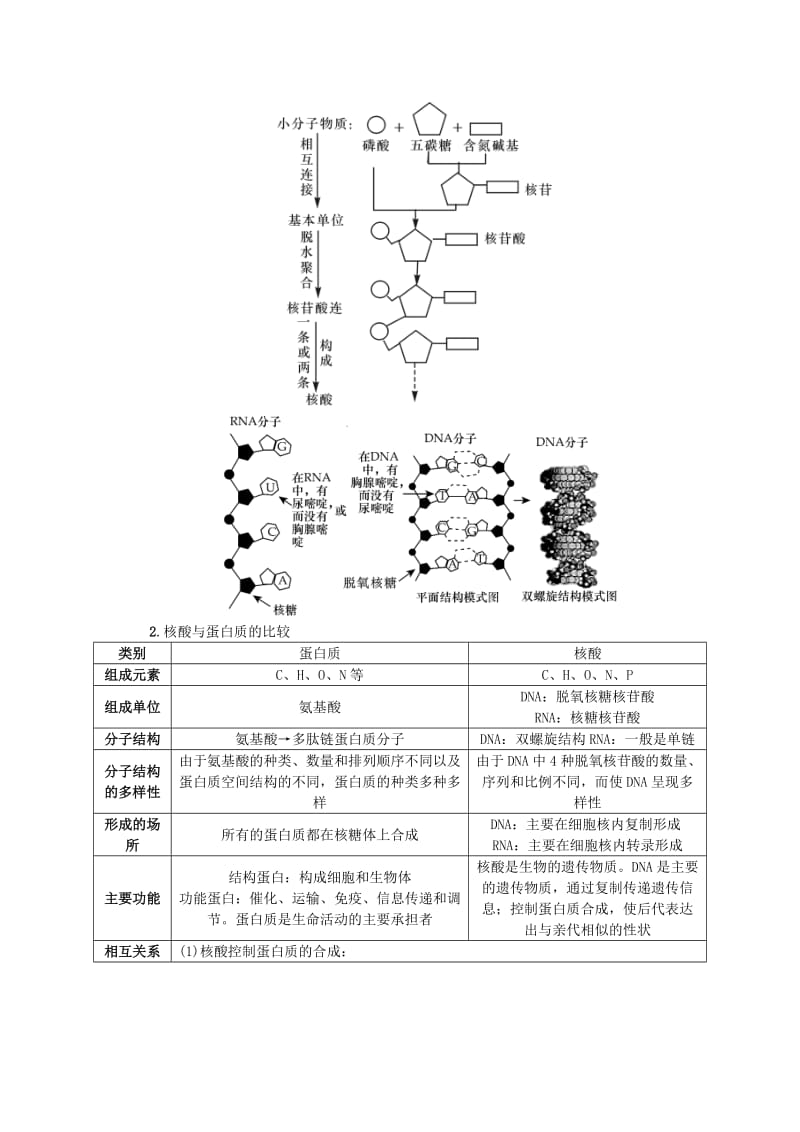 （江苏专用）2019年高考生物一轮总复习 第1单元 细胞的分子组成 第3讲 细胞中的核酸、糖类和脂质学案.doc_第3页