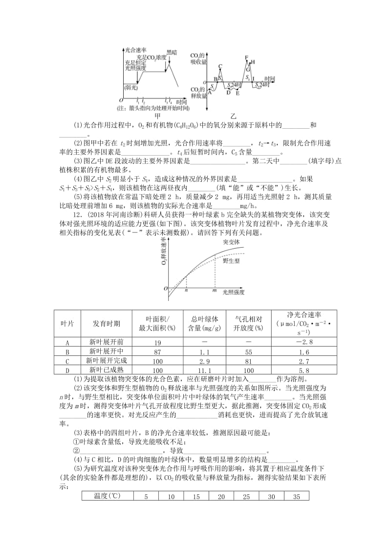 2019版高考生物一轮总复习 第5章 细胞的能量供应和利用 第4节 能量之源——光与光合作用课时练 必修1.doc_第3页