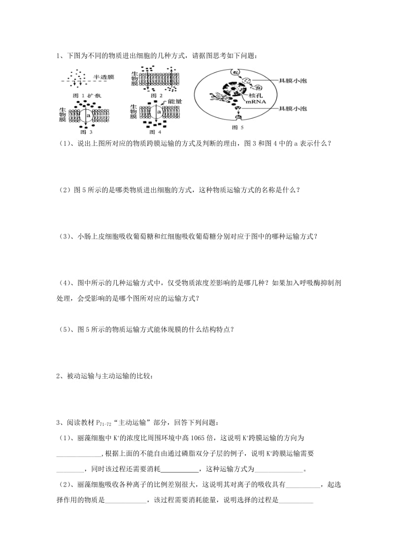 江西省吉安县高中生物 第四章 细胞的物质输入和输出 4.3 物质跨膜运输的方式导学案新人教版必修1.doc_第2页