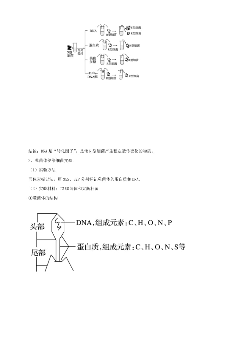 2019高考生物 核心考点特色突破 专题07 遗传的分子基础.doc_第3页