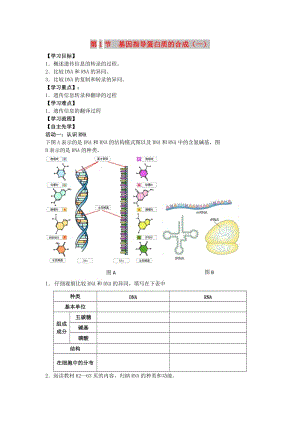 江蘇省南通市高中生物 第4章 基因的表達 第1節(jié) 基因指導蛋白質的合成（1）導學案新人教版必修2.doc