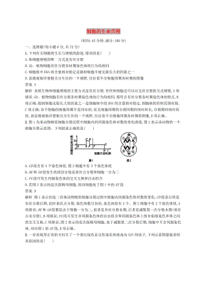 廣西2020版高考生物一輪復(fù)習(xí) 單元質(zhì)檢卷四 細(xì)胞的生命歷程（含解析）新人教版.docx