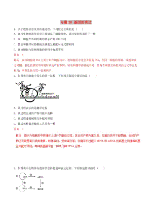 2019年高考生物熱點(diǎn)題型和提分秘籍 專題20 基因的表達(dá)題型專練.doc