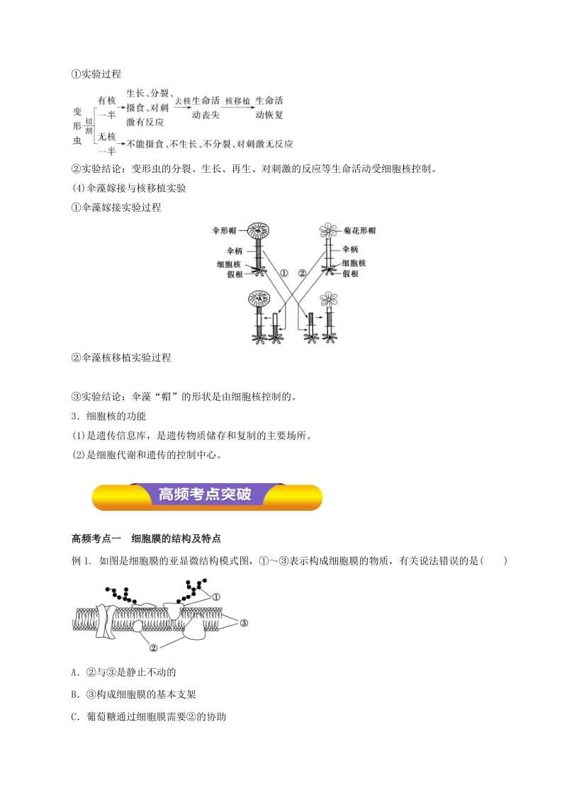 2019年高考生物一轮复习 专题2.1 细胞膜和细胞核教学案.doc_第3页