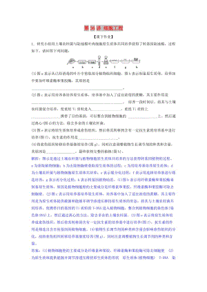 2019屆高考生物總復習 第十一單元 現(xiàn)代生物科技專題 第36講 細胞工程課下作業(yè) 新人教版.doc