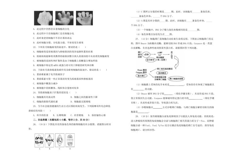 2019高中生物 第六单元 细胞的生命历程单元测试（二）新人教版必修1.doc_第3页