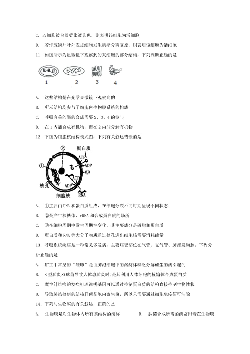 四川省成都市高新区2019届高三生物10月月考试题.doc_第3页