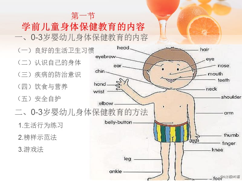 学前儿童身体保健教育ppt课件_第2页