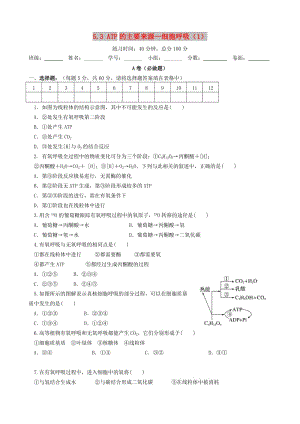 四川省成都市高中生物 第五章 細(xì)胞的能量供應(yīng)和利用 5.3 細(xì)胞呼吸限時(shí)練新人教版必修1.doc