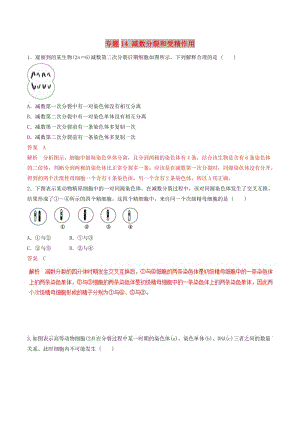 2019年高考生物熱點題型和提分秘籍 專題14 減數(shù)分裂和受精作用題型專練.doc