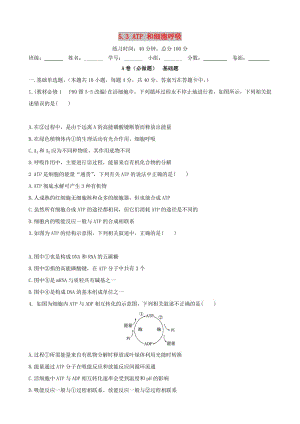 四川省成都市高中生物 第五章 细胞的能量供应和利用 5.1 ATP限时练新人教版必修1.doc