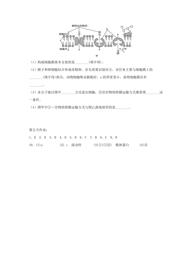 辽宁省沈阳市2017-2018学年高中生物 暑假作业 第五天.doc_第3页