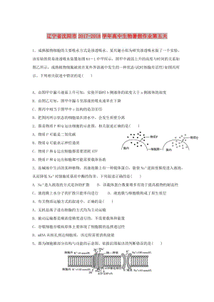 遼寧省沈陽市2017-2018學年高中生物 暑假作業(yè) 第五天.doc