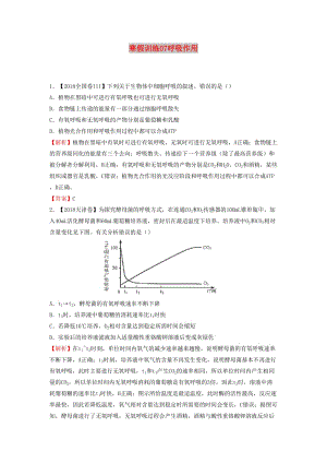 2018-2019學(xué)年高一生物 寒假訓(xùn)練07 呼吸作用.docx