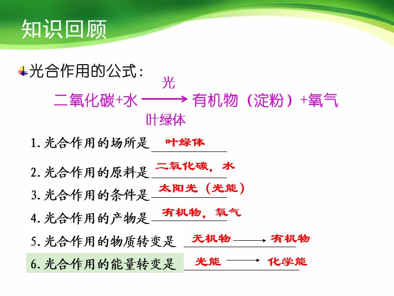 绿色植物的呼吸作用ppt课件_第2页