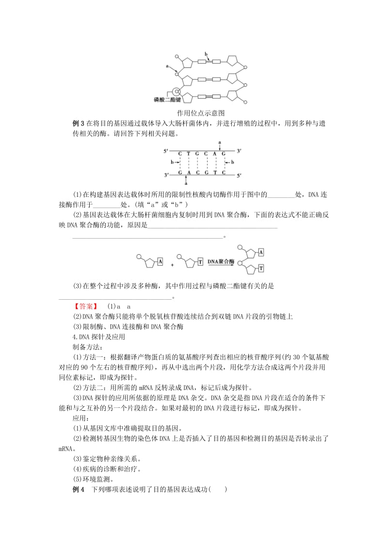 山东省平邑县高中生物 专题复习1 基因工程学案新人教版选修3.doc_第2页