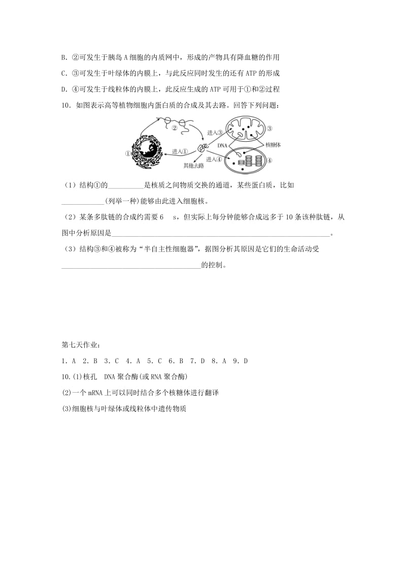 辽宁省沈阳市2017-2018学年高中生物 暑假作业 第七天.doc_第3页