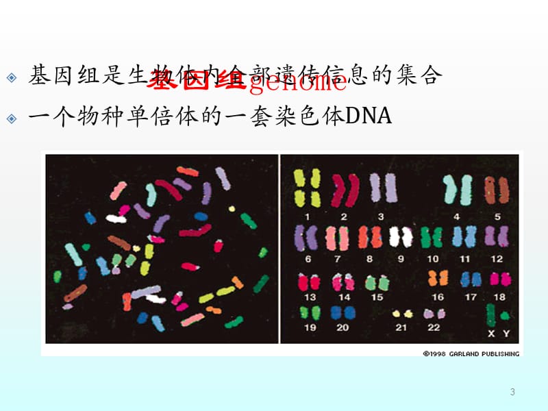 生物化学与新生物技术ppt课件_第3页