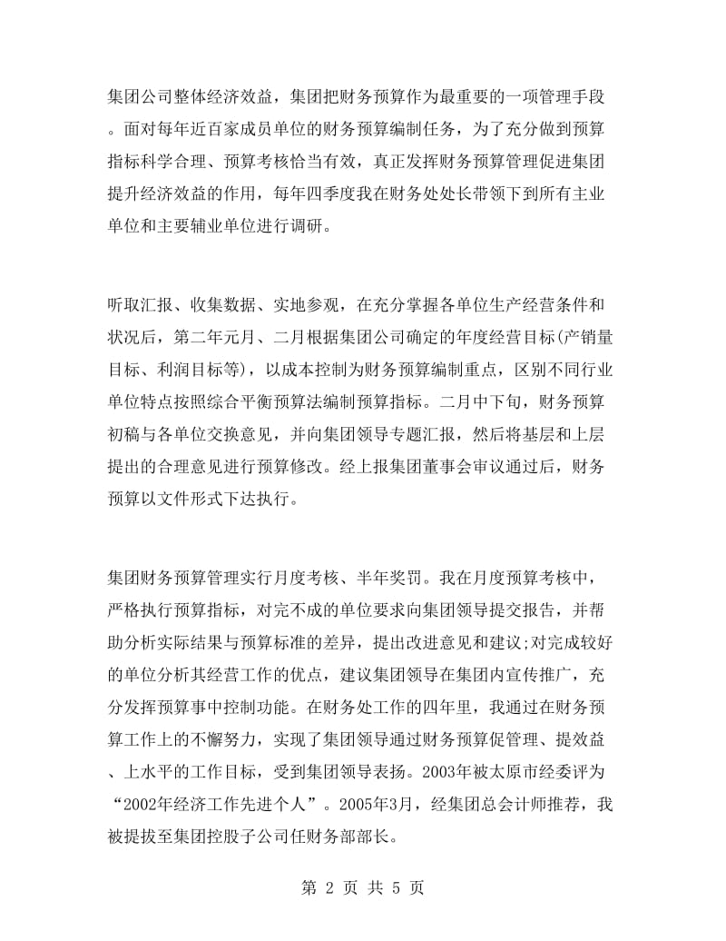 高级会计职称专业技术工作总结.doc_第2页