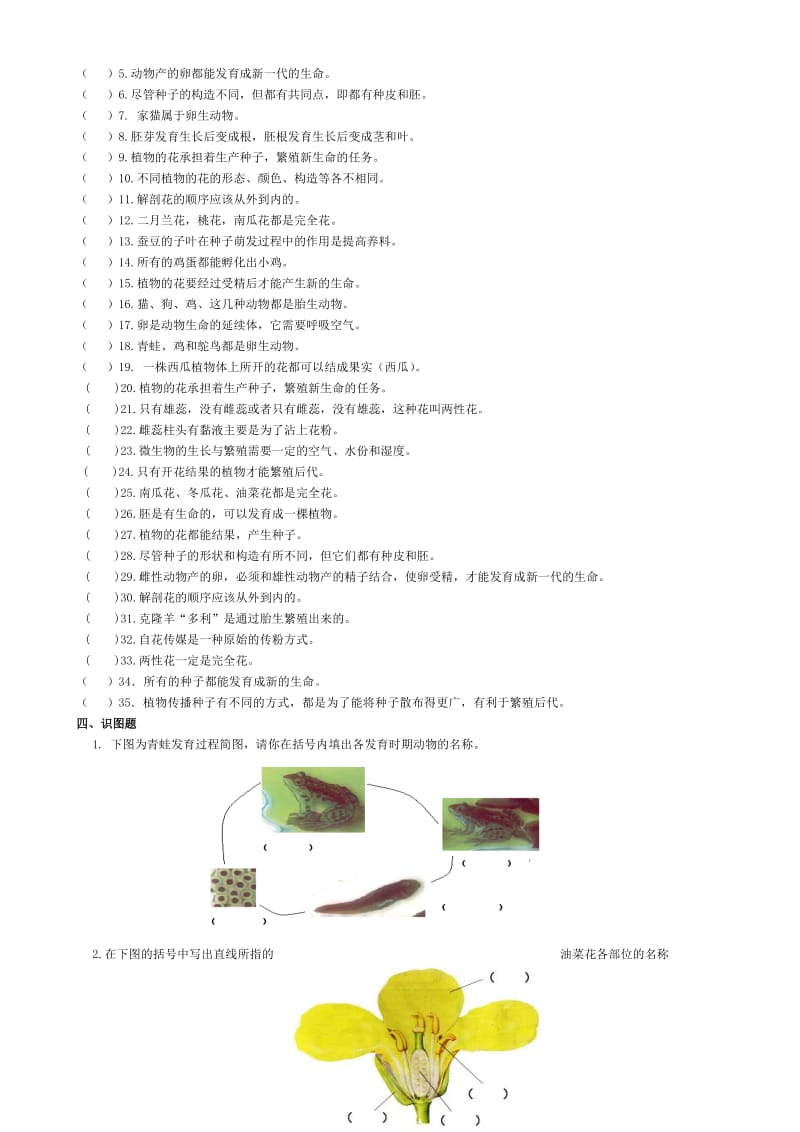 2019年四年级科学下册第二单元练习题.doc_第3页