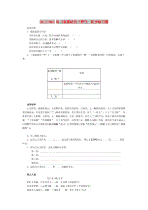 2019-2020年《索溪峪的“野”》 同步練習題.doc